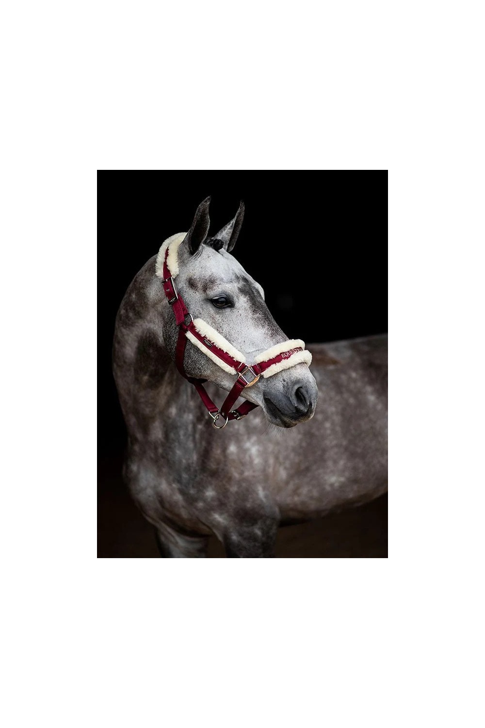 CABEZADA BORDEAUX EQUESTRIAN STOCKHOLM