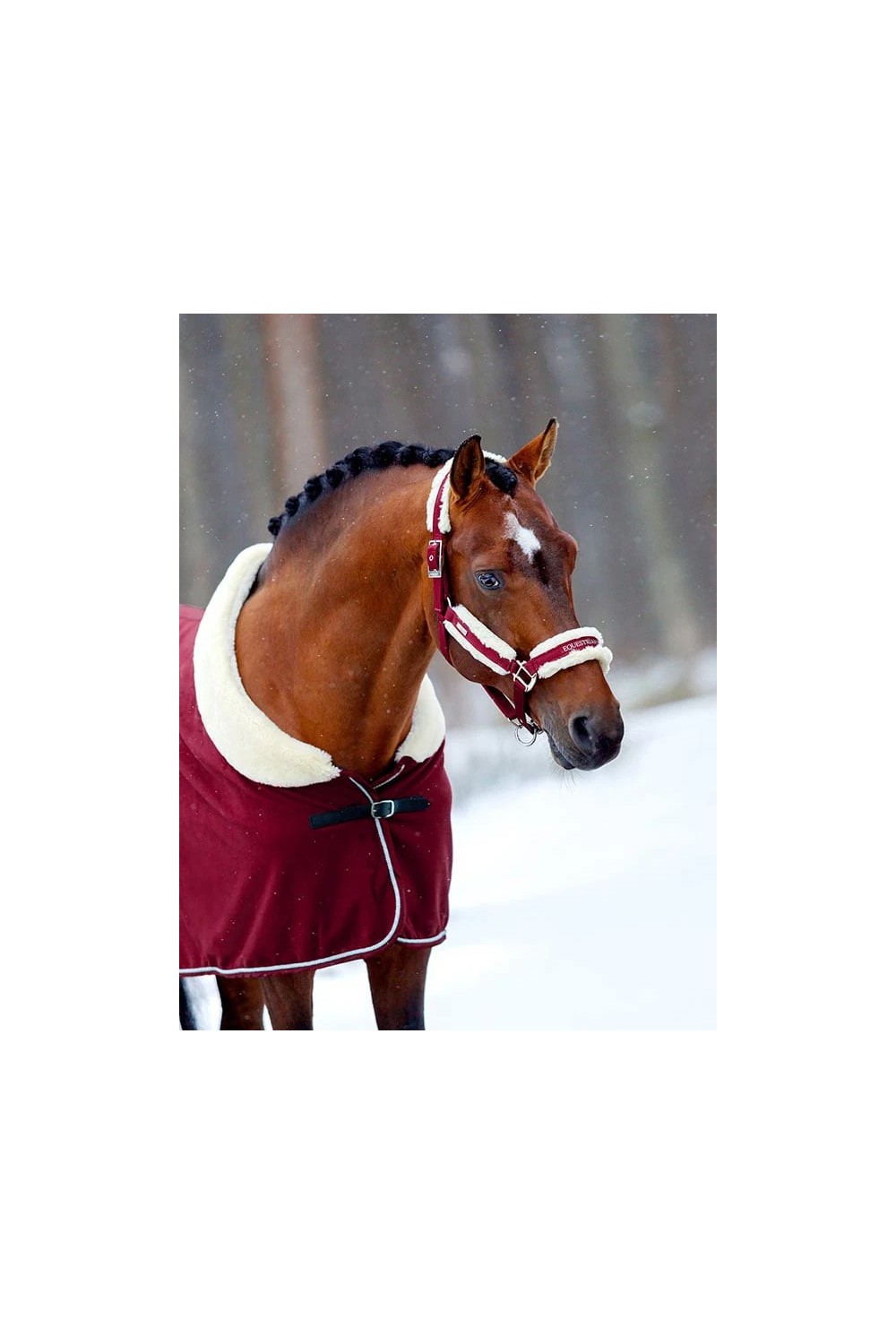 CABEZADA BORDEAUX EQUESTRIAN STOCKHOLM
