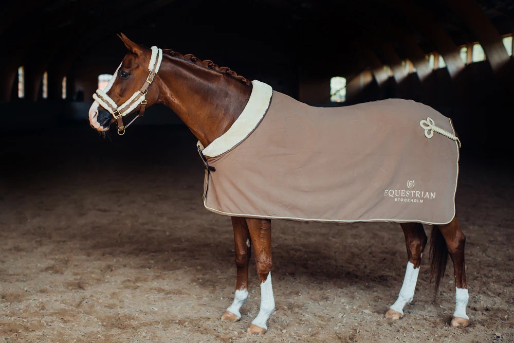 CABEZADA CHAMPAGNE EQUESTRIAN STOCKHOLM