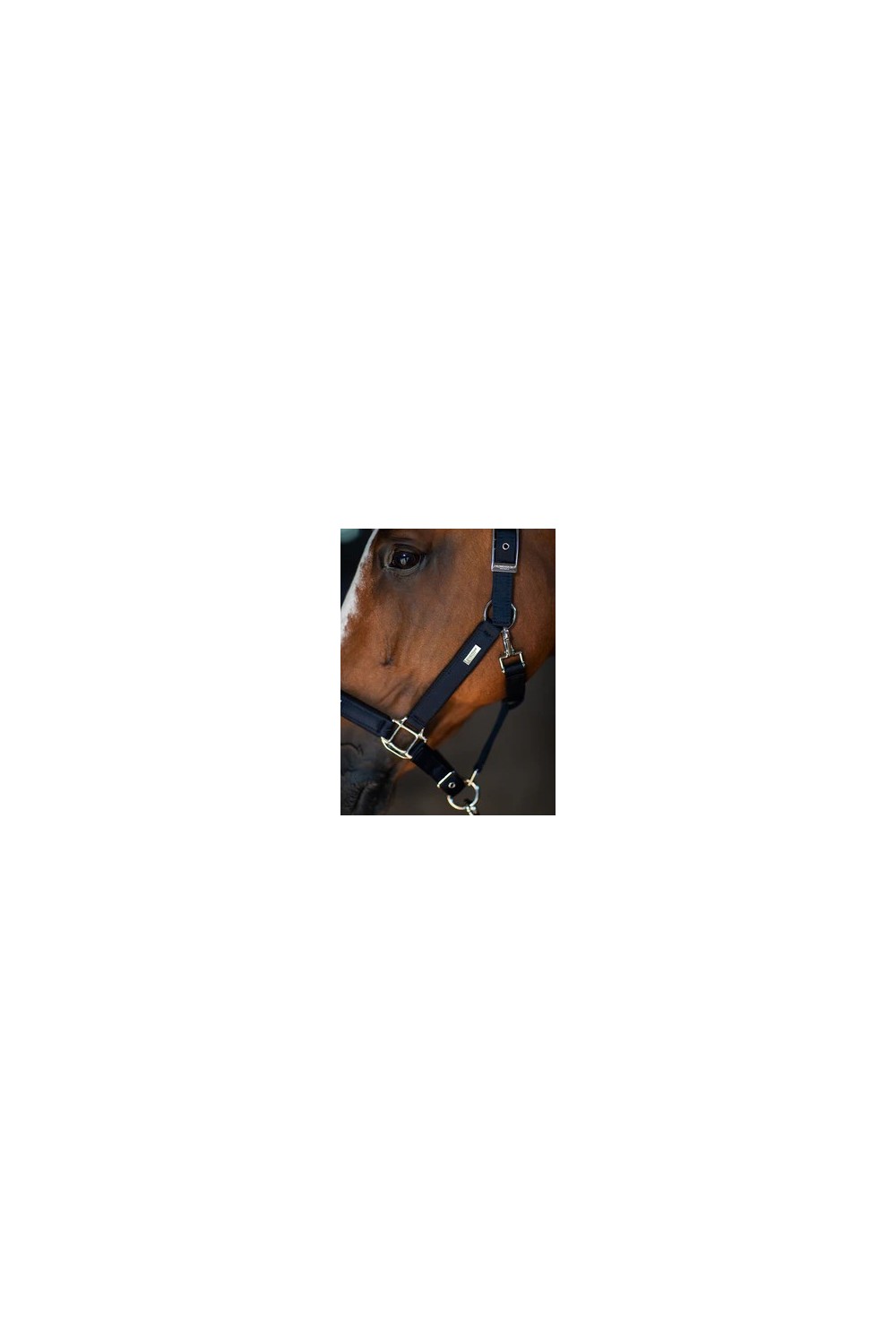 CABEZADA MODERN TECH NAVY EQUESTRIAN STOCKHOLM