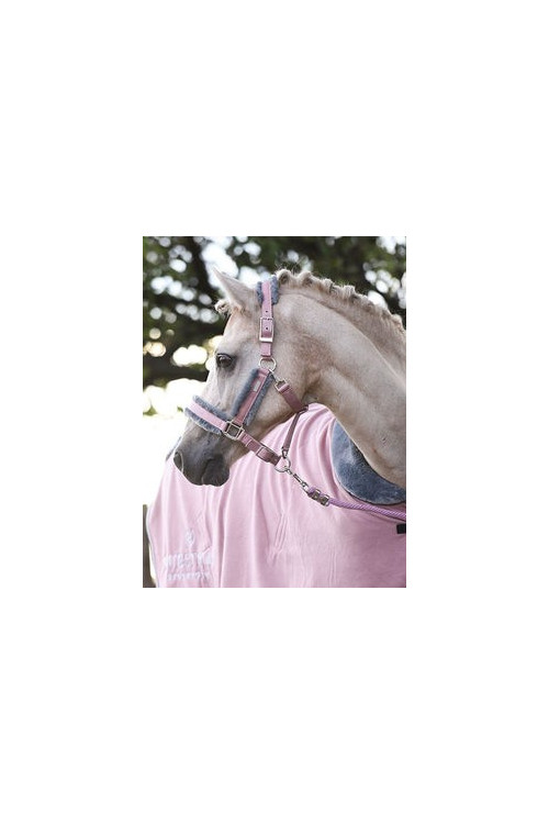 CABEZADA PINK EQUESTRIAN STOCKHOLM 2