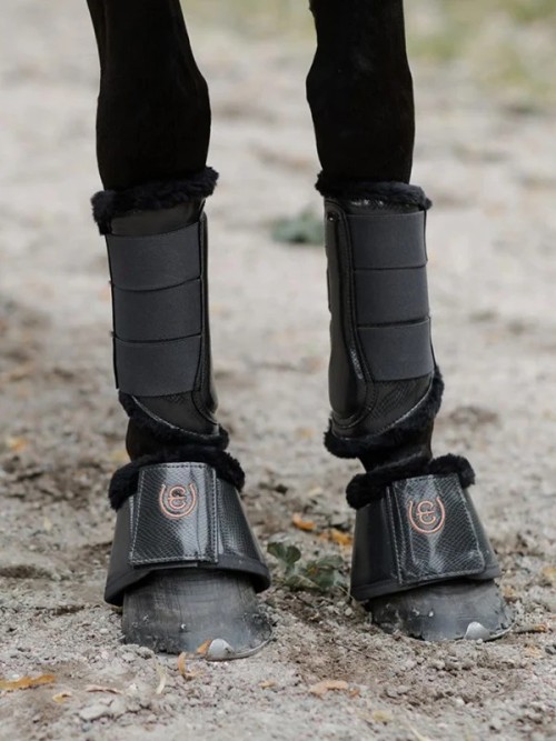 CAMPANAS DARK SKY EQUESTRIAN STOCKHOLM 2