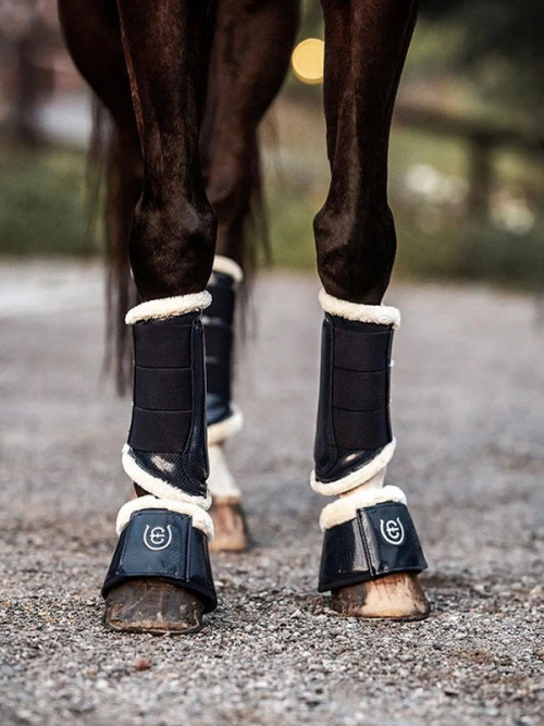 CAMPANAS NAVY EQUESTRIAN STOCKHOLM 2