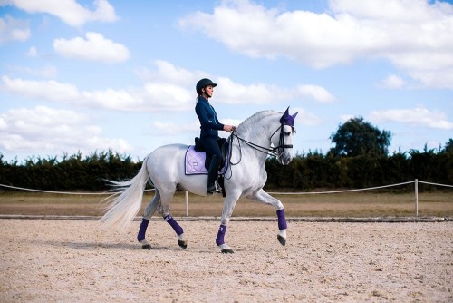 MANTILLA LAVENDER EQUESTRIAN STOCKHOLM 2