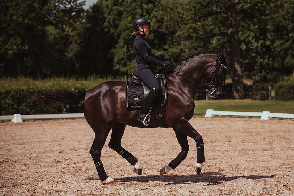 MANTILLA BLACK GOLD EQUESTRIAN STOCKHOLM