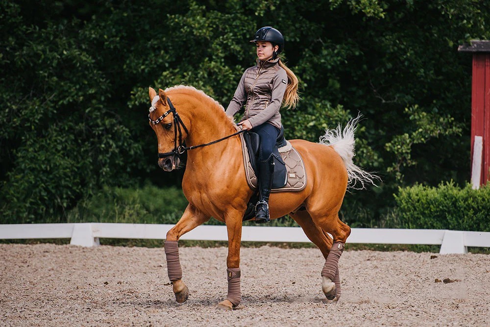 MANTILLA CHAMPAGNE EQUESTRIAN STOCKHOLM