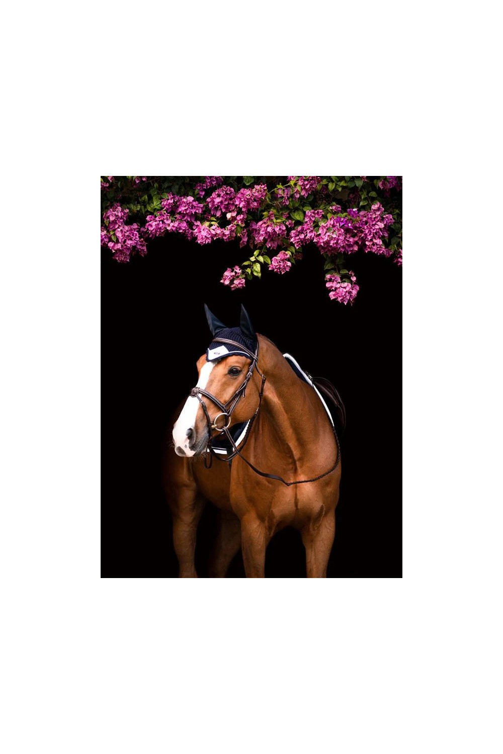 OREJERAS MIDNIGHT WHITE EDGE EQUESTRIAN STOCKHOLM