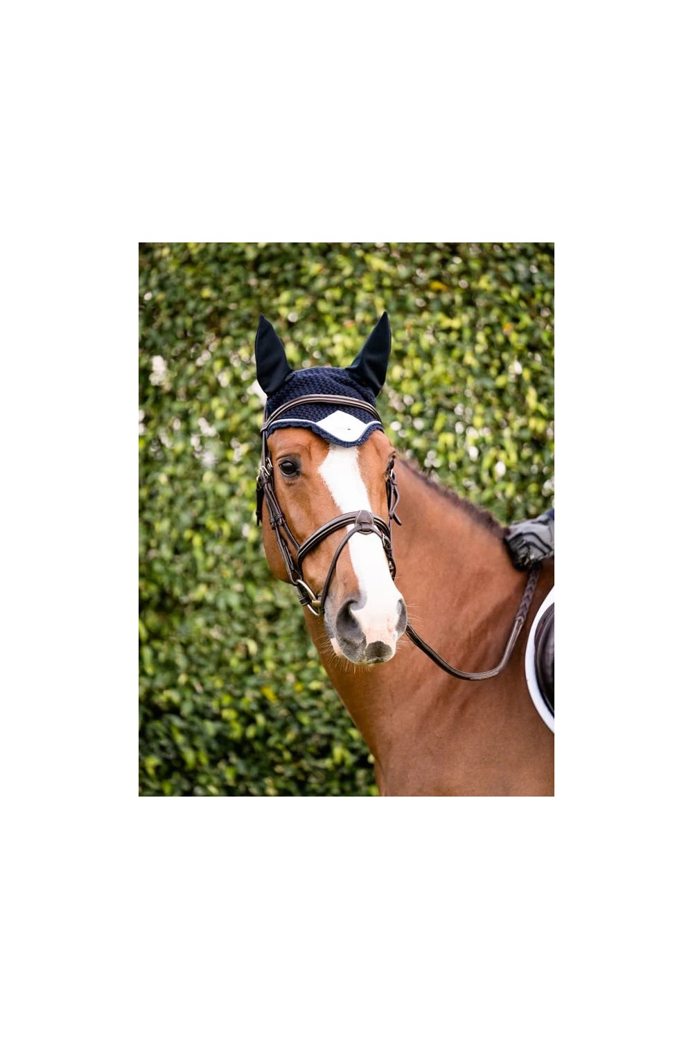OREJERAS MIDNIGHT WHITE EDGE EQUESTRIAN STOCKHOLM