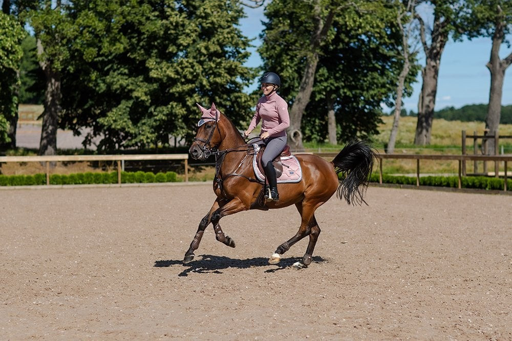 OREJERAS PINK CRYSTAL EQUESTRIAN STOCKHOLM
