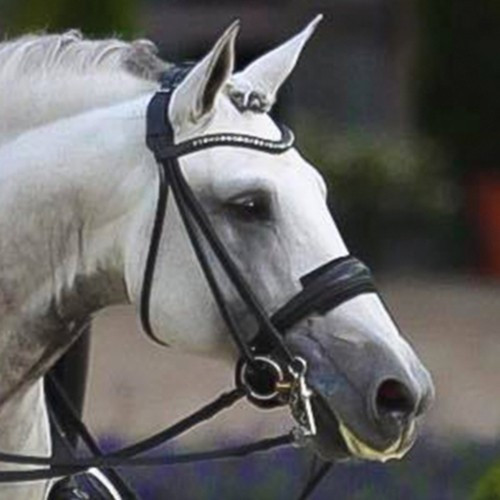 PROTECTOR MUSEROLA EVA SINTÉTICO HH 2