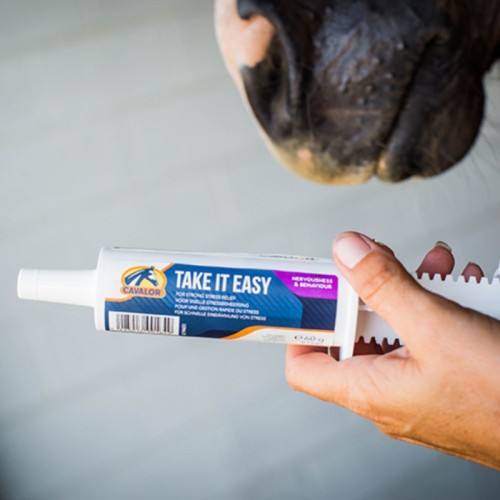 JERINGA TAKE IT EASY CAVALOR 2