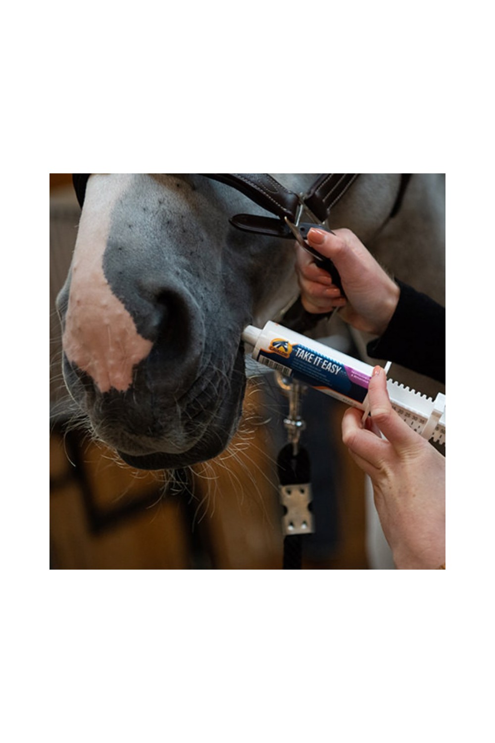 JERINGA TAKE IT EASY CAVALOR