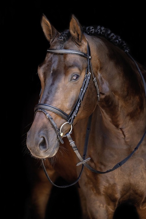 CABEZADA ECONOMIC HKM 2