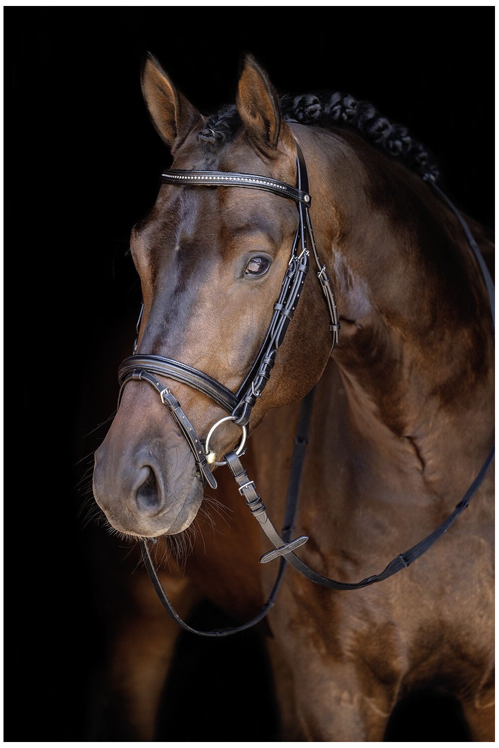 CABEZADA ECONOMIC HKM