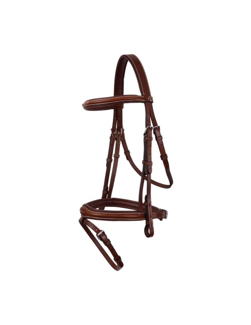 CABEZADA CHELTENHAM BR 2