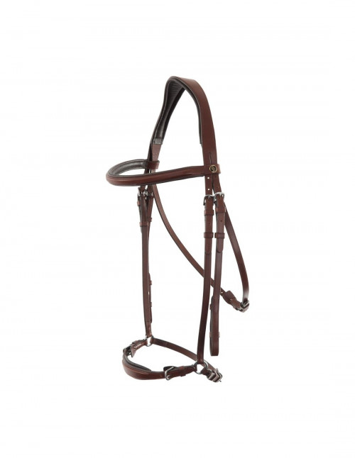 CABEZADA THURNHAM BR 2