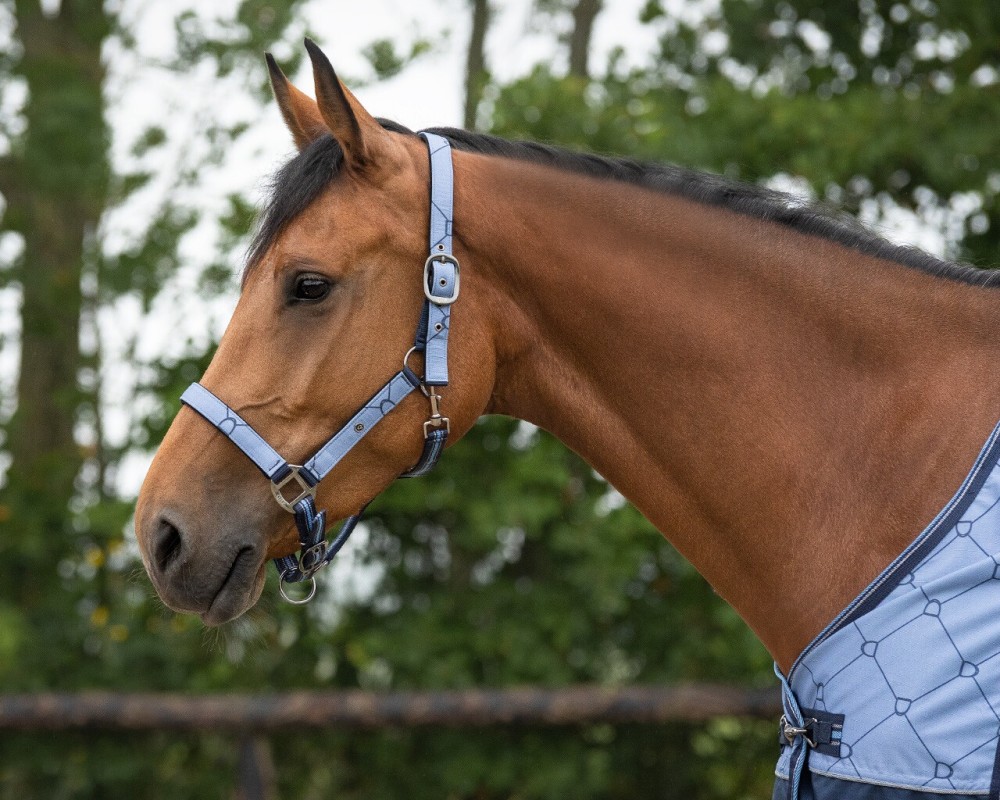 CABEZADA SUMMER PARADISE COLLECTION QHP