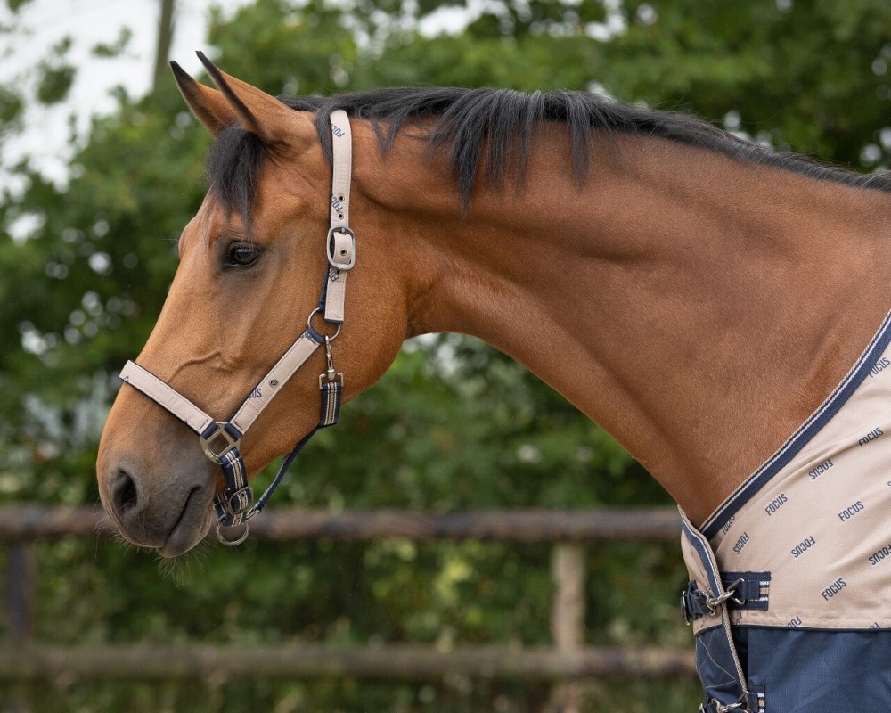 CABEZADA SUMMER PARADISE COLLECTION QHP