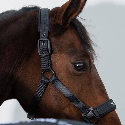 cabezada eskadron dynamic zaldi 2