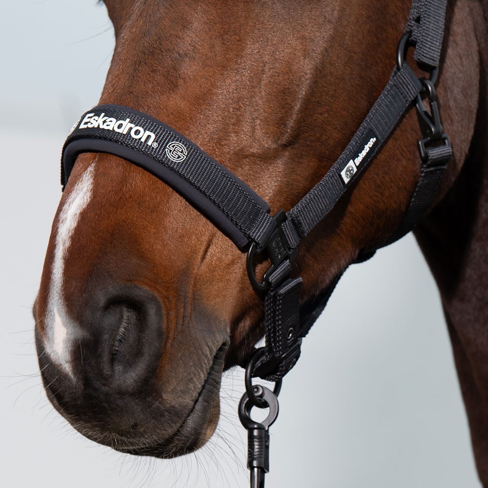 cabezada eskadron dynamic zaldi