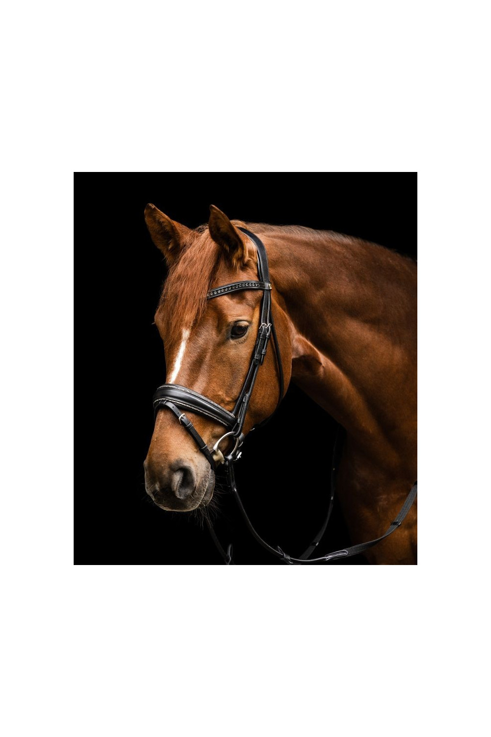 CABEZADA S-LINE GLAMOUR WALDHAUSEN