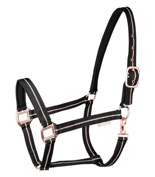 CABEZADA CUADRA ROSÉ WALDHAUSEN