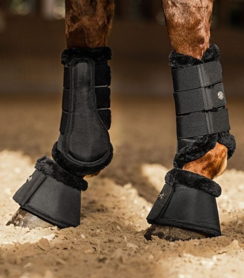 CAMPANAS PHOENIX WALDHAUSEN 2