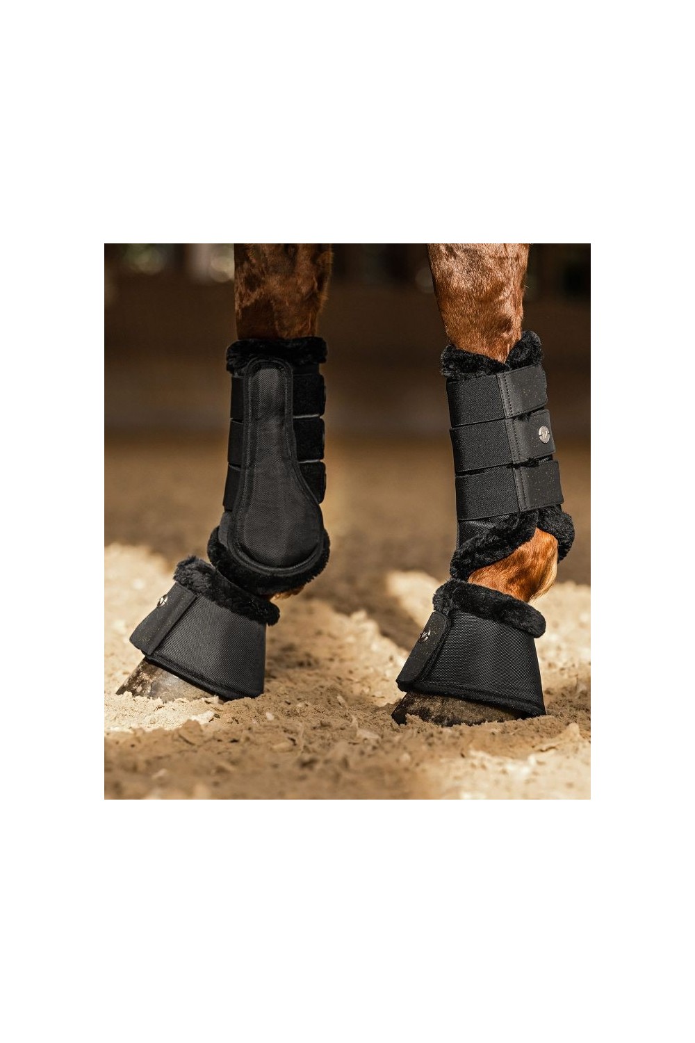 CAMPANAS PHOENIX WALDHAUSEN