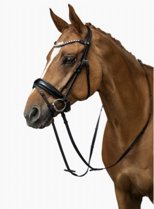 CABEZADA FLEUR HKM 2