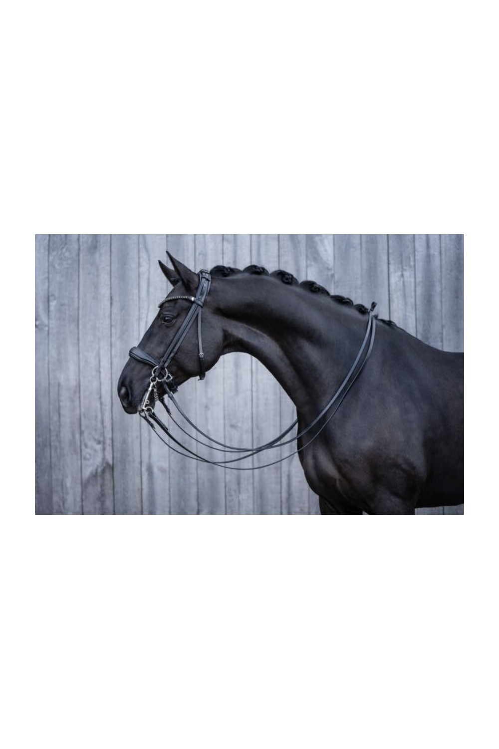 CABEZADA DOBLE GRACE HKM