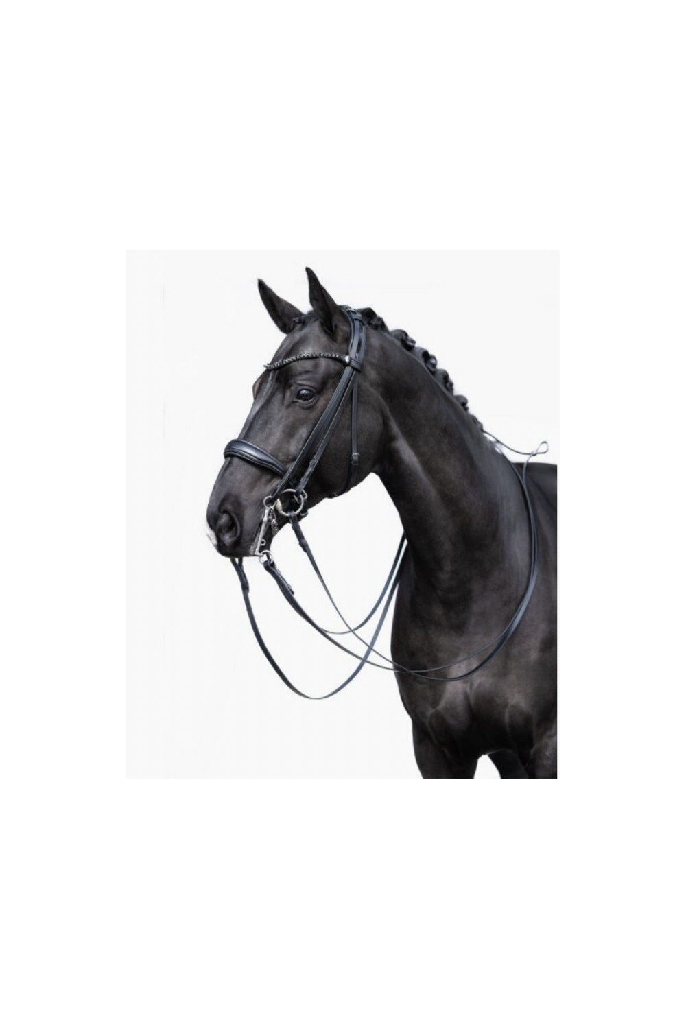 CABEZADA DOBLE GRACE HKM