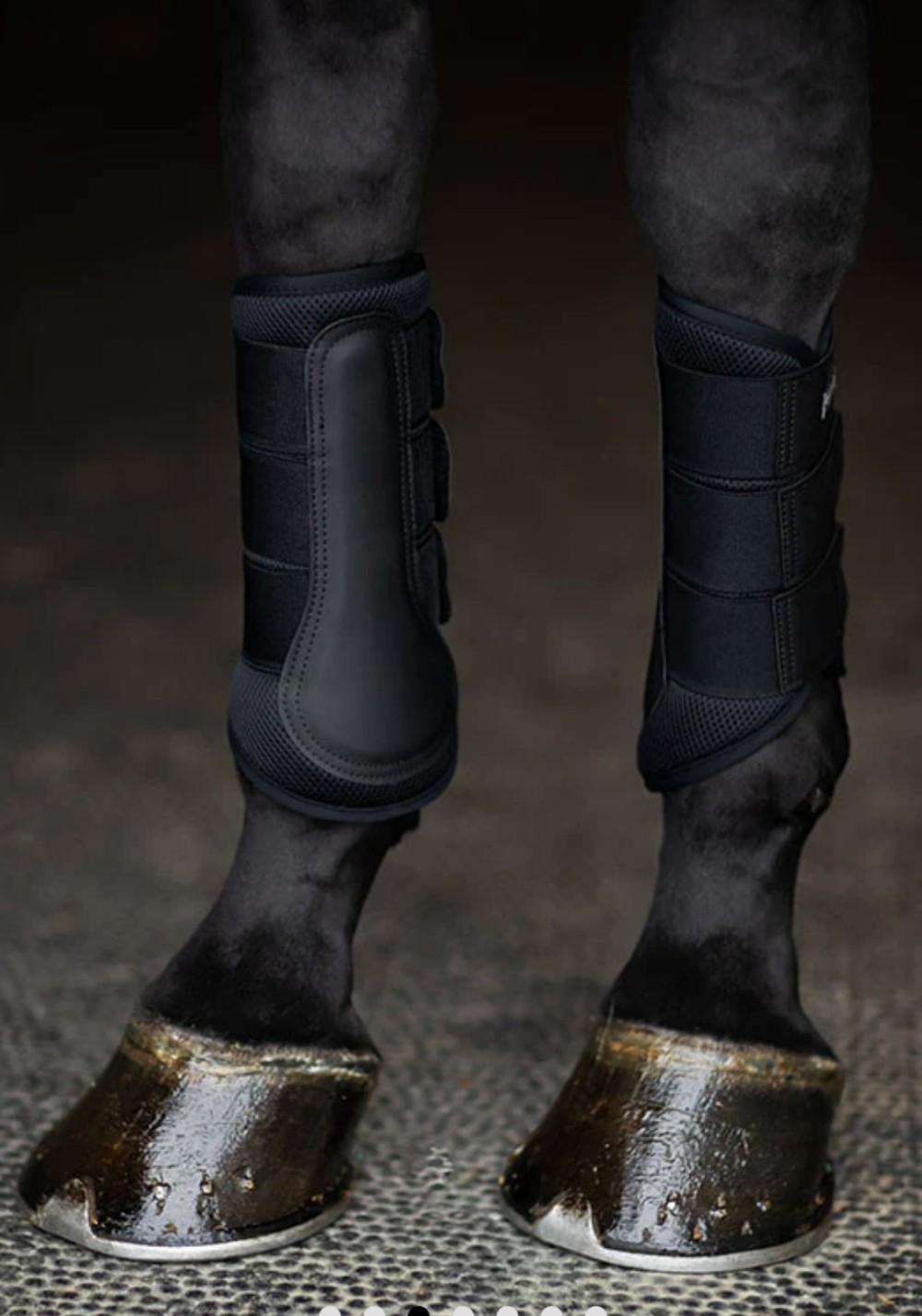 PROTECTORES CLASSIC MESH EQUESTRIAN STOCKHOLM