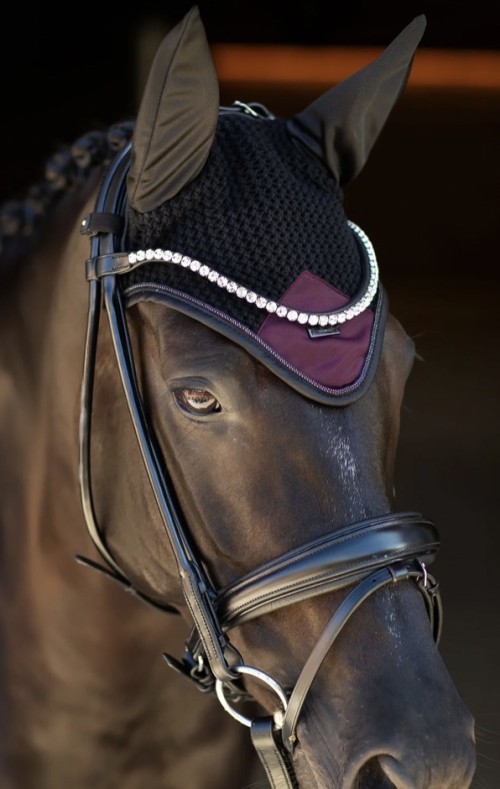 OREJERAS PURPLE NIGHT EQUESTRIAN STOCKHOLM 2