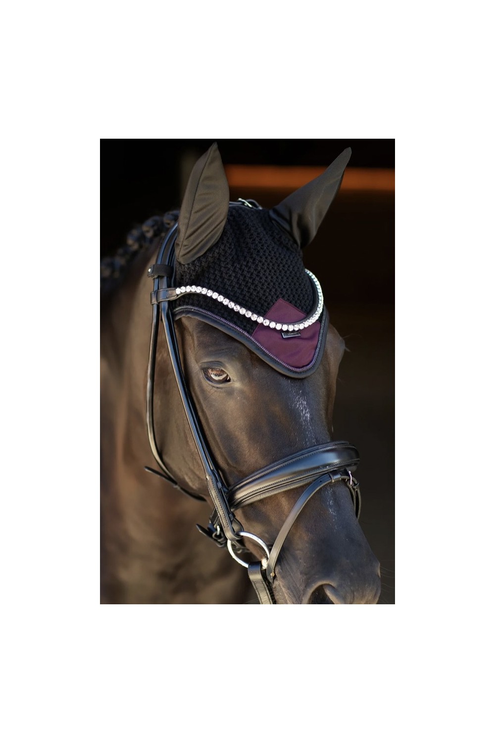 OREJERAS PURPLE NIGHT EQUESTRIAN STOCKHOLM