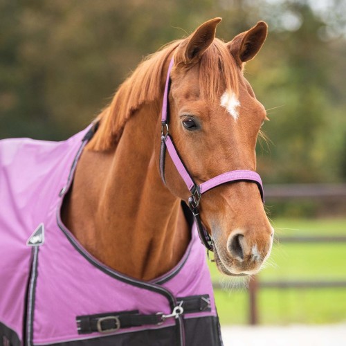 CABEZADA DE CUADRA COLECCION QHP