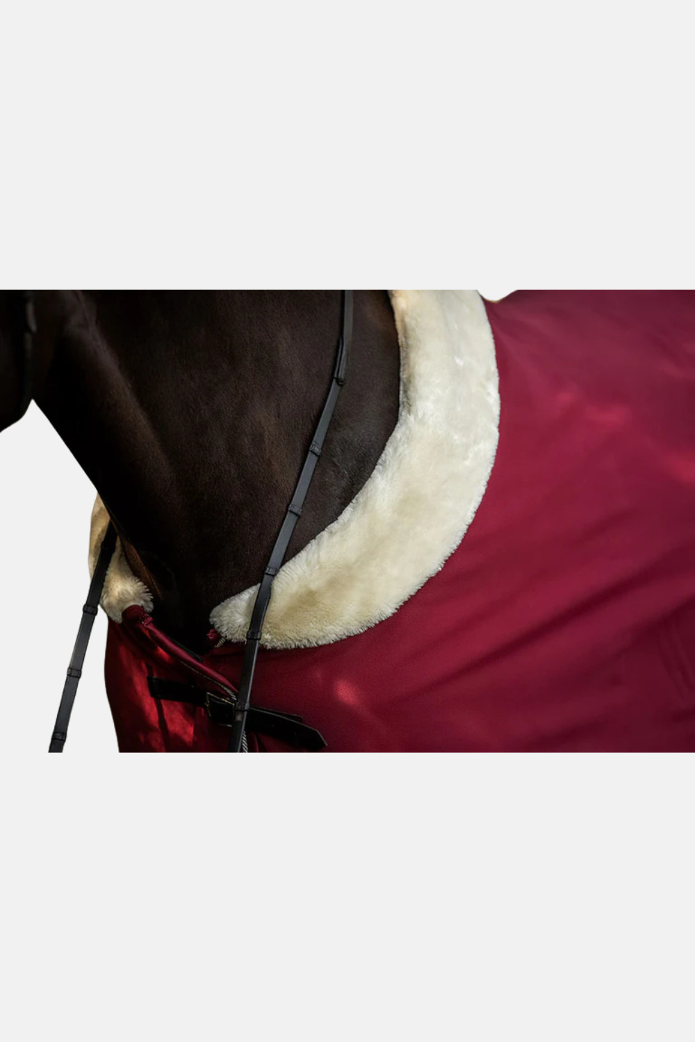 Manta Polar Bordeaux Equestrian Stockholm