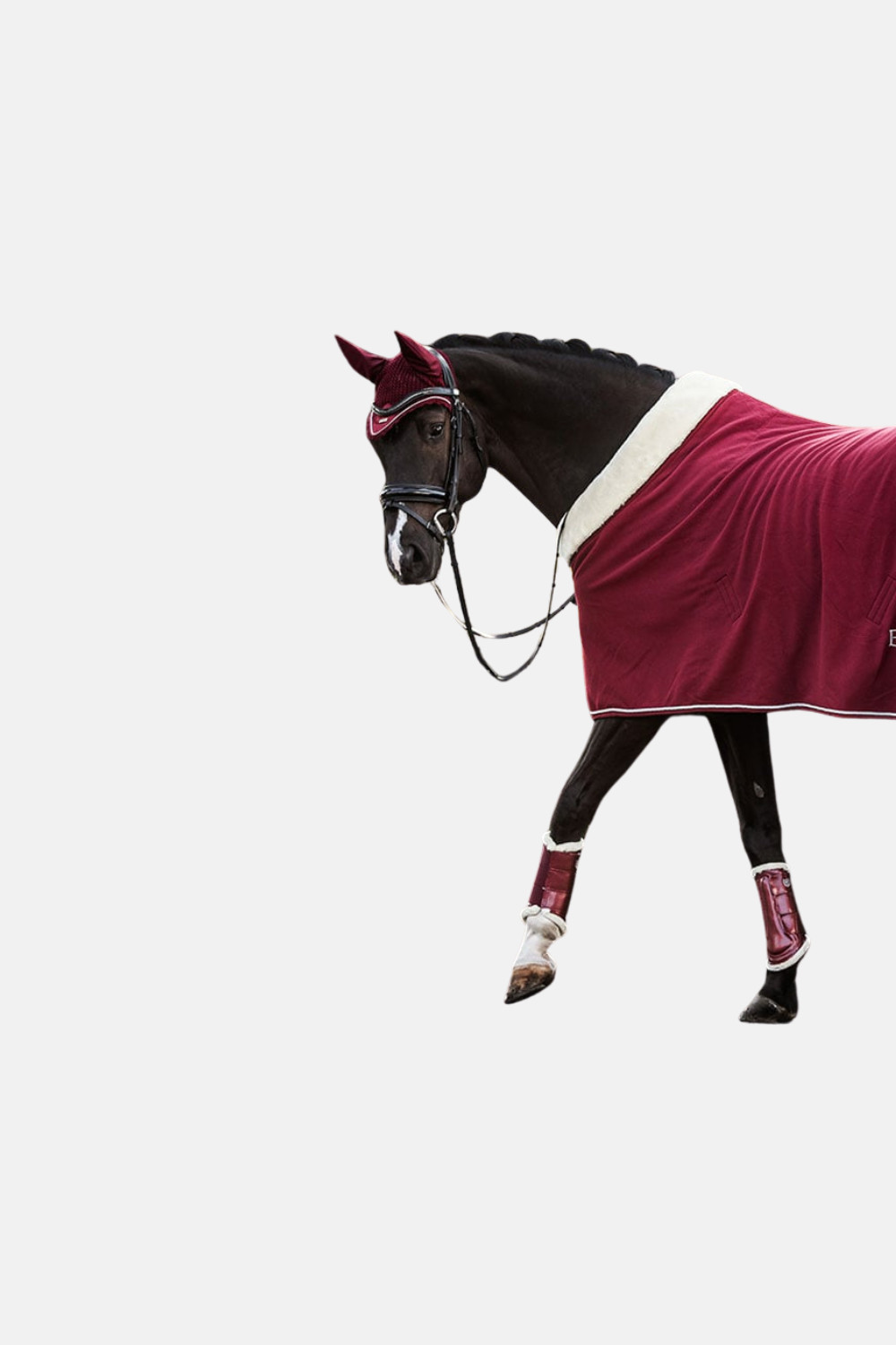 Manta Polar Bordeaux Equestrian Stockholm