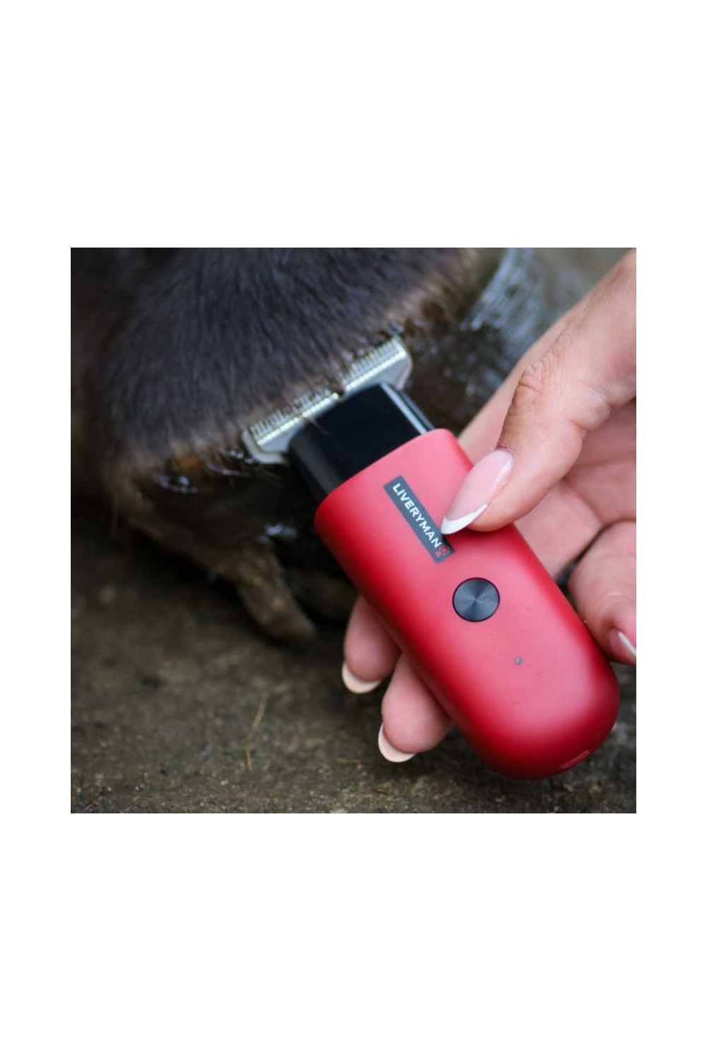 Esquiladora de retoques Robin Liveryman