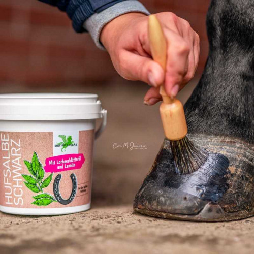 Brocha para aplicar pomada B&E PinselPiet 2