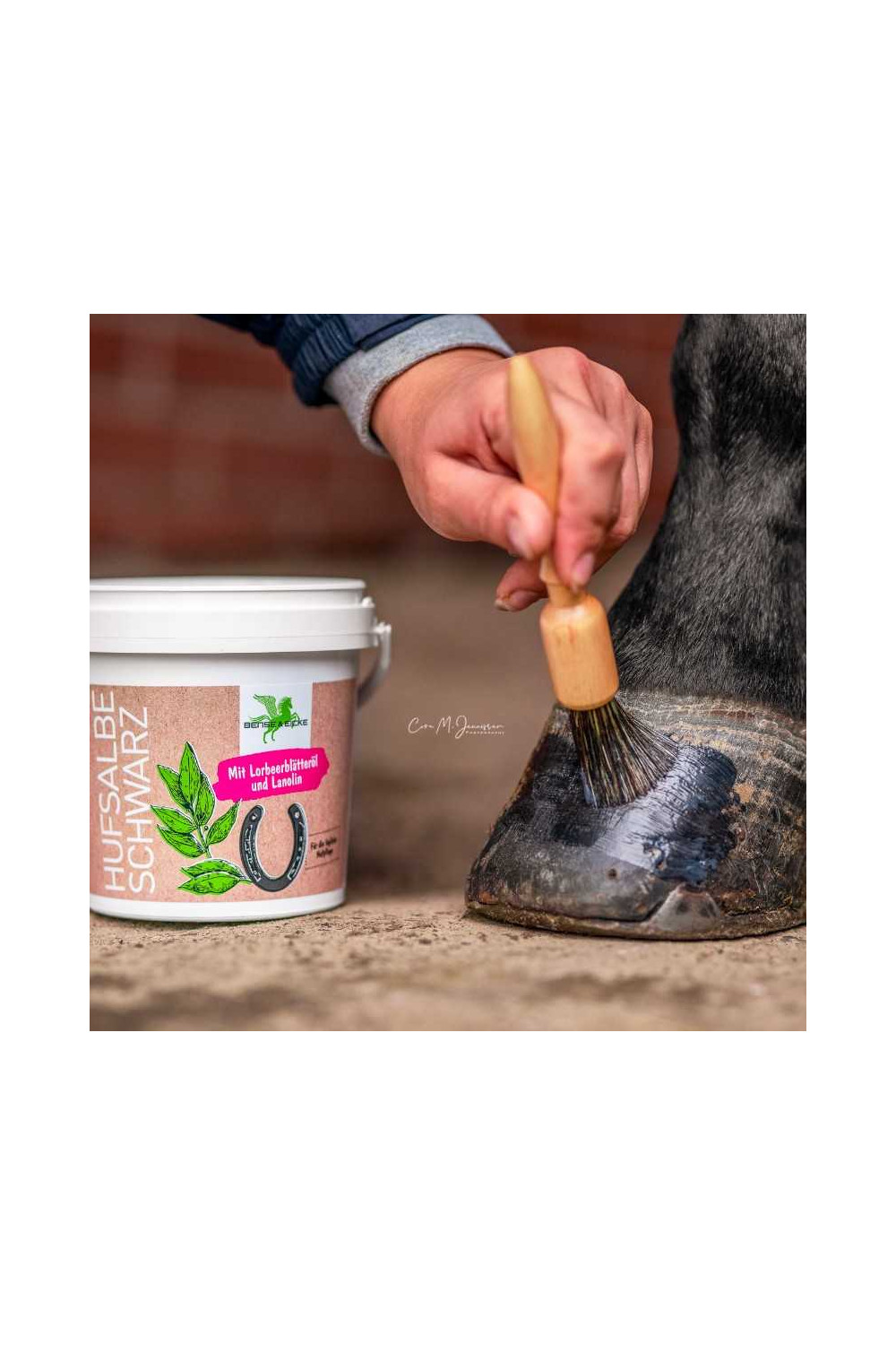 Brocha para aplicar pomada B&E PinselPiet