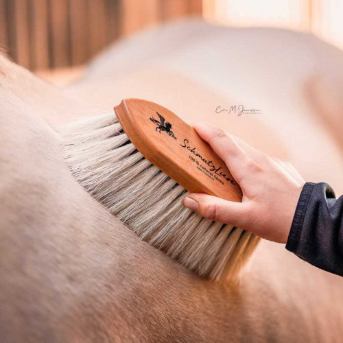 Cepillo de fibra 100% natural B&E SchmutzLiese 2