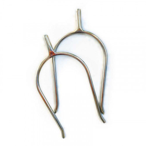 EspuelÃ­n portuguÃ©s gallo recto contacto 2