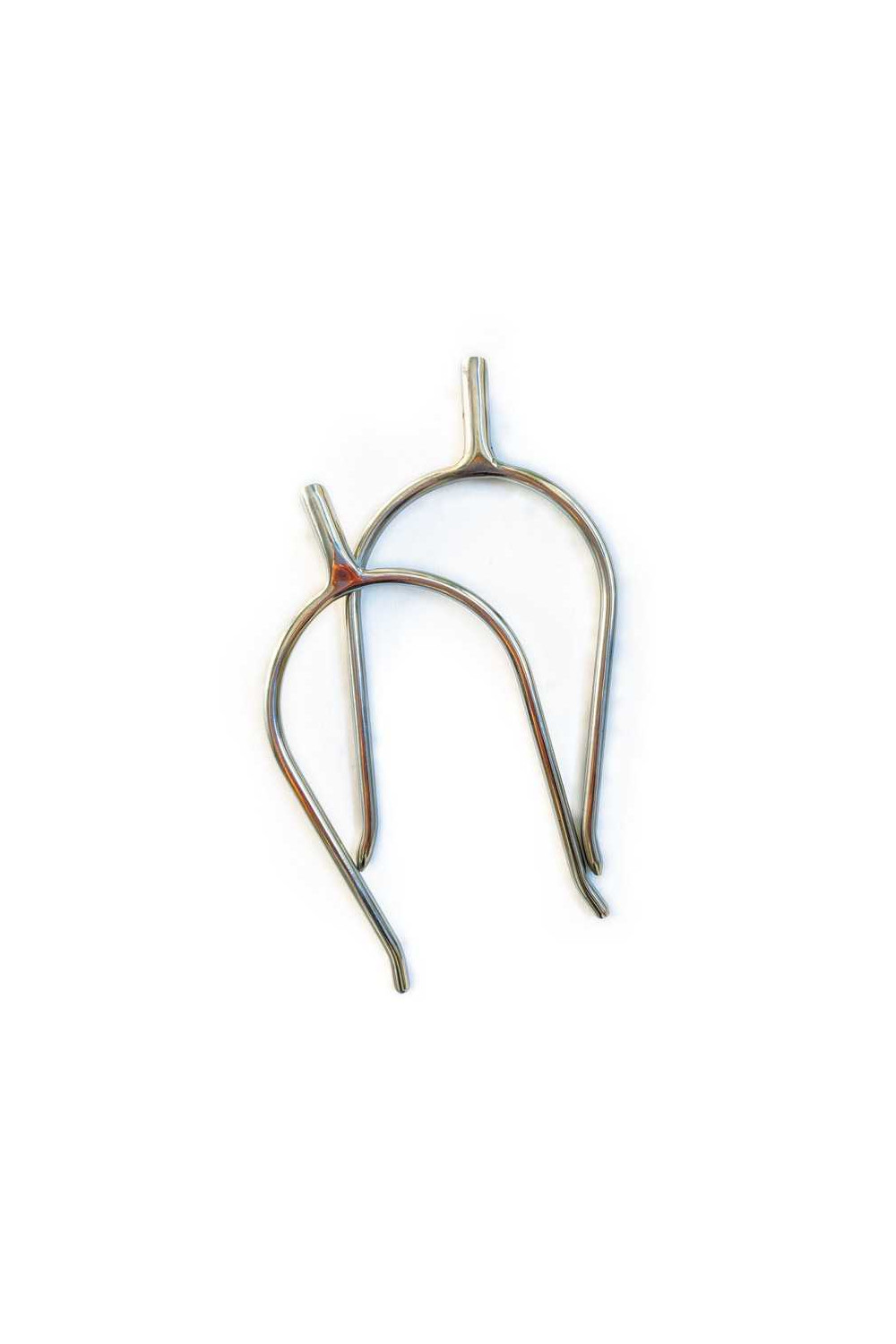 EspuelÃ­n portuguÃ©s gallo recto contacto