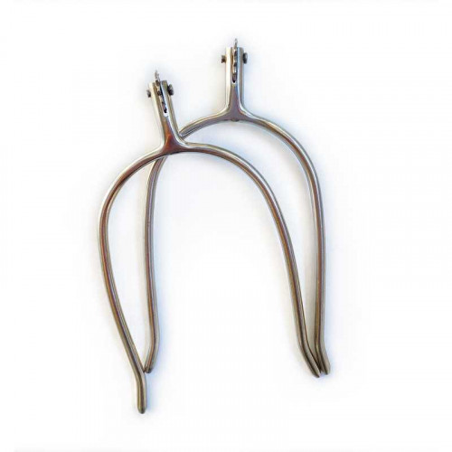 EspuelÃ­n portuguÃ©s gallo recto estrella 2