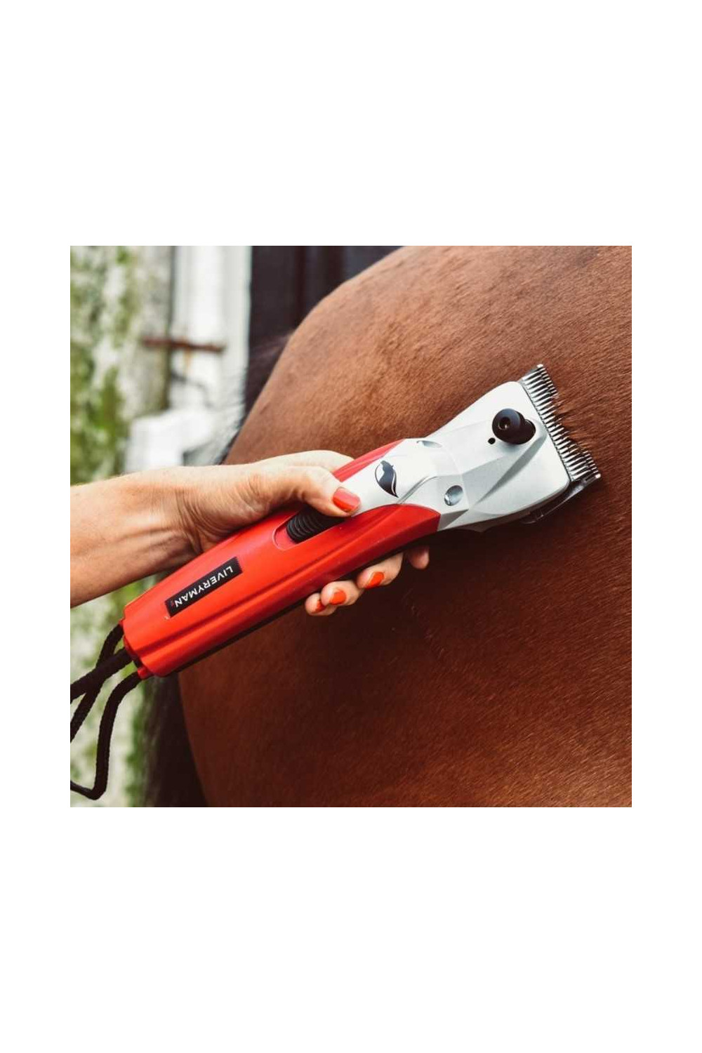 ESQUILADORA LIVERYMAN BLACK BEAUTY (antes Kare Pro 200)