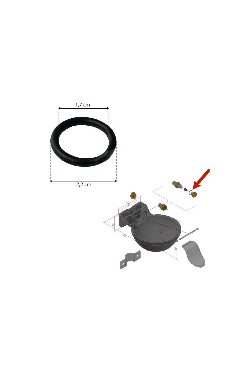 GOMA TÃ“RICA PARA BEBEDERO DE LENGÃœETA